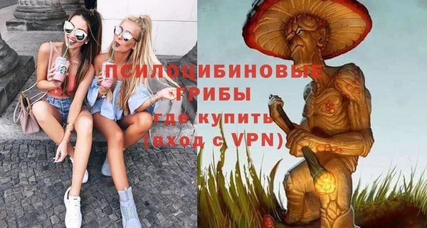 соль ск Алексеевка