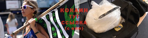прущий лед Алексин